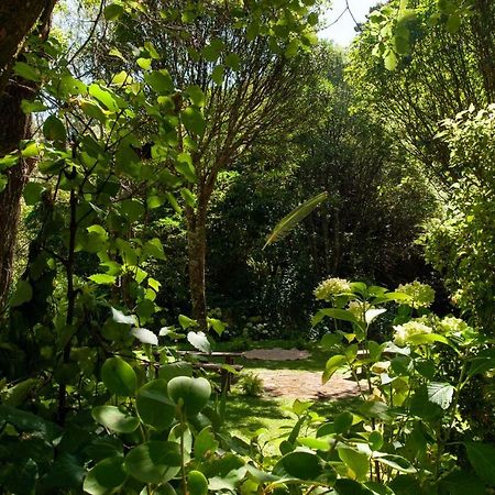 Blythcliffe Bed & Breakfast Akaroa Exterior foto