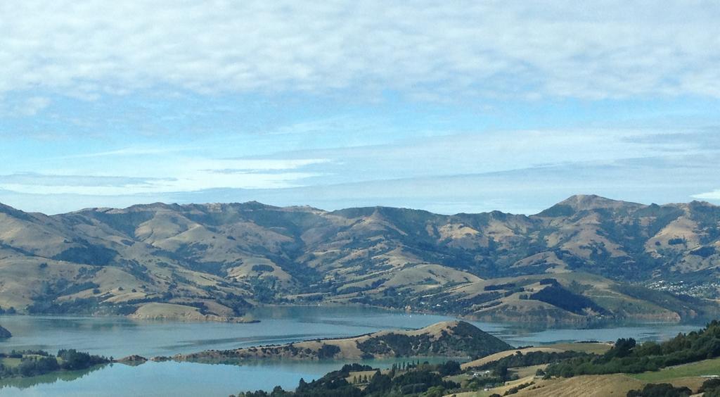 Blythcliffe Bed & Breakfast Akaroa Exterior foto