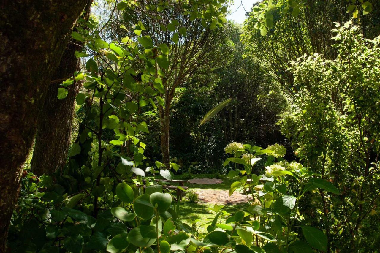 Blythcliffe Bed & Breakfast Akaroa Exterior foto